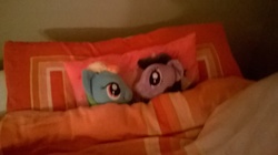 Size: 2592x1456 | Tagged: safe, artist:drpootis66, rainbow dash, twilight sparkle, g4, bed, blanket, female, irl, lesbian, looking at each other, photo, pillow, plushie, ship:twidash, shipping