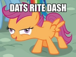 Size: 460x344 | Tagged: safe, edit, edited screencap, screencap, rainbow dash, scootaloo, g4, my little pony: friendship is magic, newbie dash, faic, image macro, meme, solo focus