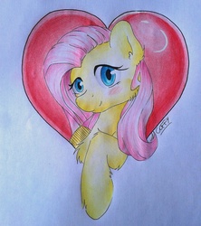 Size: 1920x2161 | Tagged: safe, artist:coffytacotuesday, fluttershy, g4, blushing, chest fluff, female, heart, solo, traditional art