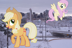 Size: 1280x852 | Tagged: safe, artist:90sigma, artist:laczkour, artist:logan859, applejack, fluttershy, pony, g4, colorado, denver, giant pony, highrise ponies, irl, macro, photo, ponies in real life