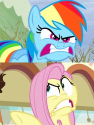 Size: 774x1032 | Tagged: safe, edit, edited screencap, screencap, fluttershy, rainbow dash, buckball season, g4, tanks for the memories, angry, comparison, do i look angry, pointing