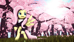 Size: 3840x2160 | Tagged: safe, artist:pointystarz, fluttershy, g4, 3d, cherry blossoms, clothes, flower, flower blossom, grass, high res, hoodie, katana, open mouth, scarf, source filmmaker, spread wings, sword, weapon
