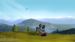 Size: 4000x2250 | Tagged: safe, artist:marsminer, rainbow dash, twilight sparkle, g4, away from viewer, high res, hug, scenery, winghug