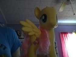 Size: 1024x768 | Tagged: safe, artist:thecreativesonicpega, fluttershy, human, g4, irl, irl human, photo, solo, toy
