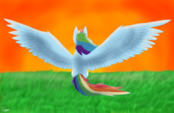 Size: 3000x1952 | Tagged: safe, artist:arynalba, rainbow dash, g4, female, solo