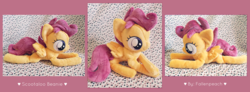 Size: 7602x2808 | Tagged: safe, artist:fallenpeach, scootaloo, g4, absurd resolution, beanie (plushie), irl, photo, plushie, solo