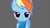Size: 1191x657 | Tagged: safe, rainbow dash, g4, bedroom eyes, female, gray background, simple background, smiling, solo
