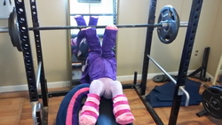 Size: 3264x1836 | Tagged: artist needed, safe, twilight sparkle, g4, barbell, clothes, do you even lift, female, gym, irl, meme, on back, photo, plushie, socks, solo, striped socks, sweater, weights