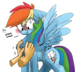 Size: 1490x1448 | Tagged: safe, artist:mr.candy_owo, artist:xieril, color edit, edit, rainbow dash, oc, oc:anon, human, pegasus, pony, g4, bad touch, blushing, chest fluff, colored, cute, dashabetes, dialogue, disembodied hand, exclamation point, female, female focus, floppy ears, fluffy, grope, hand, human on pony petting, interspecies, looking down, mare, molestation, offscreen character, petting, rubbing, ruffled feathers, scrunchy face, simple background, solo focus, spread wings, surprised, white background, wide eyes, wingboner