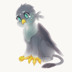 Size: 1024x1024 | Tagged: safe, artist:tolsticot, gabby, griffon, g4, colored sketch, cute, female, fluffy, gabbybetes, sad, sadorable, simple background, solo, teary eyes, white background