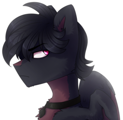 Size: 1024x998 | Tagged: safe, artist:starlyfly, oc, oc only, oc:crow, pegasus, pony, bust, male, portrait, simple background, solo, stallion, transparent background