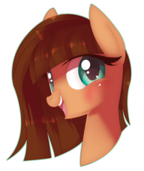 Size: 3596x4264 | Tagged: safe, artist:sorasku, oc, oc only, earth pony, pony, bust, female, high res, mare, portrait, simple background, solo, transparent background