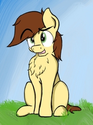 Size: 770x1038 | Tagged: safe, artist:life of a little blue horse, oc, oc only, oc:nima, pony, chest fluff, cute, fluffy, grass, simple background, solo