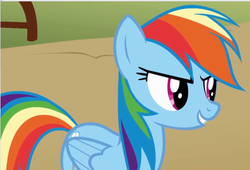 Size: 535x363 | Tagged: safe, screencap, rainbow dash, pony, fall weather friends, g4, cropped, female, mare, solo