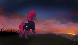 Size: 1024x595 | Tagged: safe, artist:rutkotka, fizzlepop berrytwist, tempest shadow, pony, unicorn, g4, my little pony: the movie, armor, broken horn, eye scar, female, grass field, hill, horn, mare, rear view, scar, solo, sunset