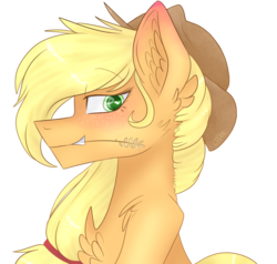 Size: 1024x973 | Tagged: safe, artist:coffeebeanu, applejack, earth pony, pony, g4, female, simple background, solo, transparent background