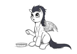 Size: 3507x2480 | Tagged: safe, artist:exelzior, soarin', pony, g4, black and white, foal, food, grayscale, high res, male, monochrome, pie, sketch, solo