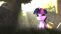 Size: 3840x2160 | Tagged: safe, artist:melodycloud14, twilight sparkle, alicorn, pony, g4, 3d, crepuscular rays, female, high res, looking at you, poster, shadow, sitting, solo, source filmmaker, twilight sparkle (alicorn)