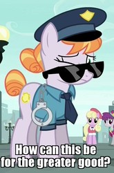 Size: 500x759 | Tagged: safe, edit, edited screencap, screencap, copper top, luckette, silver berry, earth pony, pony, g4, the gift of the maud pie, confused, cuffs, cute, female, frown, hot fuzz, image macro, meme, one eye closed, police officer, police pony, solo focus, sunglasses, wink
