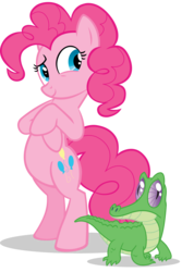 Size: 1030x1546 | Tagged: safe, gummy, pinkie pie, pony, g4, official, too many pinkie pies, belly, bipedal, crossed hooves, hooves to the chest, looking back, simple background, standing on two hooves, transparent background, vector