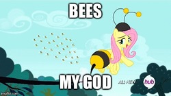 Size: 495x278 | Tagged: safe, edit, edited screencap, screencap, fluttershy, bee, pegasus, pony, g4, it ain't easy being breezies, all new, animal costume, atop the fourth wall, batman, bee costume, bees my god, clothes, costume, female, flutterbee, hub logo, imgflip, linkara, logo, mare, text, the hub
