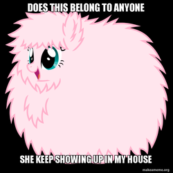 Size: 800x800 | Tagged: safe, oc, oc only, oc:fluffle puff, grammar error, impact font, meme, solo