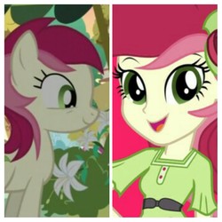 Size: 1024x1024 | Tagged: safe, edit, edited screencap, screencap, roseluck, earth pony, pony, equestria girls, g4, official, clothes, happy, smiling