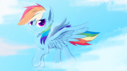 Size: 1920x1080 | Tagged: safe, artist:yoshimaru, rainbow dash, pegasus, pony, g4, cheek fluff, cloud, ear fluff, female, flying, leg fluff, mare, sky, solo, wallpaper