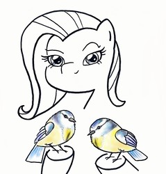 Size: 1428x1491 | Tagged: safe, artist:potatobug, derpibooru exclusive, fluttershy, bird, great tit, g4, chickadee (bird), female, looking at you, partial color, pun, simple background, smiling, solo, traditional art, visual pun, white background