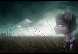 Size: 1024x710 | Tagged: safe, artist:starlyfly, oc, oc only, pony, clothes, cloud, field, male, solo, stallion, vest