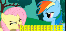 Size: 223x106 | Tagged: safe, edit, edited screencap, screencap, fluttershy, rainbow dash, g4, sonic rainboom (episode), animated, female, gif, impact font, meme, picture for breezies, reeee, text, vibrating, yay