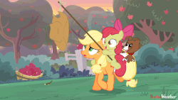 Size: 960x540 | Tagged: safe, artist:brutalweather studio, apple bloom, applejack, winona, dog, earth pony, pony, g4, animated, apple bloom riding applejack, applejack wants her hat back, applejack's hat, carrot on a stick, cowboy hat, cute, eyes on the prize, female, frown, gif, hat, hatless, hoof hold, i can't believe it's not hasbro studios, loop, looping background, missing accessory, open mouth, ponies riding ponies, riding, sad, sadorable, show accurate, silly, silly pony, tail wag, that pony sure does love her hat, tongue out, trotting, two riding one, who's a silly pony, winona riding applejack