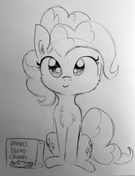 Size: 1065x1385 | Tagged: safe, artist:tjpones, pinkie pie, earth pony, pony, g4, black and white, bread crumbs, chest fluff, female, grayscale, happy, lineart, looking at you, monochrome, panko, photo, ponk, sitting, solo, traditional art