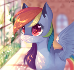Size: 1685x1600 | Tagged: dead source, safe, artist:gianghanz, rainbow dash, pegasus, pony, bust, colored pupils, cute, dashabetes, ear fluff, eye reflection, female, flower, grass, looking at something, portrait, reflection, signature, smiling, solo, spread wings, sunlight, window