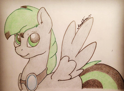 Size: 597x438 | Tagged: safe, artist:kundofox, oc, oc only, oc:silver stream, pegasus, pony, goggles, green eyes, looking at you, solo, traditional art