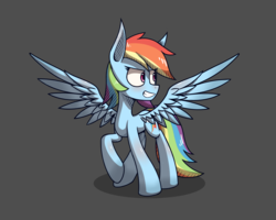 Size: 2000x1600 | Tagged: safe, artist:malphee, rainbow dash, pony, g4, female, gray background, raised hoof, shadow, simple background, solo, spread wings