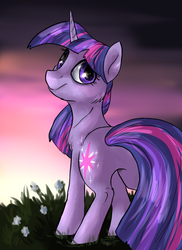 Size: 794x1088 | Tagged: safe, artist:not-ordinary-pony, twilight sparkle, pony, g4, butt, chest fluff, female, looking back, plot, solo, twibutt, twilight (astronomy)