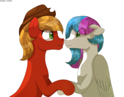 Size: 3308x2593 | Tagged: safe, artist:asika-aida, oc, oc only, earth pony, pegasus, pony, commission, cowboy hat, female, hat, high res, looking at each other, male, mare, oc x oc, shipping, simple background, stallion, stetson, straight, transparent background