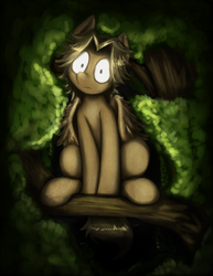 Size: 2031x2628 | Tagged: safe, artist:otakuap, oc, oc only, oc:owl eyes, pegasus, pony, female, gift art, glowing eyes, high res, looking at you, mare, solo, tree, tree branch