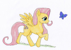 Size: 3000x2098 | Tagged: safe, artist:deoxtri, fluttershy, butterfly, pegasus, pony, g4, high res, looking at something, raised hoof, simple background, simplistic art style, spread wings, walking, white background