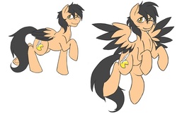 Size: 733x476 | Tagged: safe, artist:pitchpatch, oc, oc only, oc:playbitz, pegasus, pony, reference sheet, simple background, solo, white background