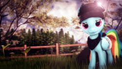 Size: 4000x2250 | Tagged: safe, artist:redaceofspades, rainbow dash, pegasus, pony, g4, 3d, bandage, female, fence, goggles, hood, lens flare, looking at you, poster, solo, source filmmaker, tree