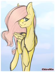 Size: 654x852 | Tagged: safe, artist:chiromio, fluttershy, pony, g4, female, solo