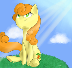 Size: 3600x3400 | Tagged: safe, artist:passigcamel, carrot top, golden harvest, pony, g4, female, high res, sitting, smiling, solo