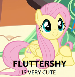Size: 532x546 | Tagged: safe, edit, edited screencap, screencap, fluttershy, pegasus, pony, g4, captain obvious, cropped, cute, female, obvious, prone, shyabetes, solo, truth