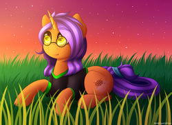 Size: 2472x1800 | Tagged: safe, artist:spirit-dude, oc, oc only, pony, unicorn, clothes, freckles, glasses, grass, horn, looking up, prone, shirt, solo, stars, sunset, t-shirt, unicorn oc