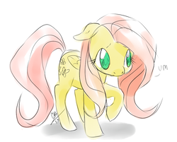 Size: 870x700 | Tagged: safe, artist:trazodoned, fluttershy, pegasus, pony, g4, female, floppy ears, folded wings, looking at you, looking up, raised hoof, simple background, sketch, solo, um, white background