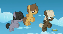 Size: 832x456 | Tagged: safe, screencap, dumbbell, hoops, quarterback, g4, the lost treasure of griffonstone, blank flank, boy bullies, colt, cute, discovery family logo, flashback, male, younger