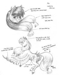Size: 1100x1410 | Tagged: safe, artist:baron engel, oc, oc only, oc:blu, pegasus, pony, female, mare, monochrome, pencil drawing, reference sheet, solo, traditional art