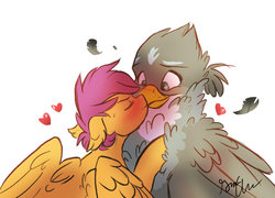 Size: 1024x739 | Tagged: dead source, safe, artist:shellielle, gabby, scootaloo, griffon, pony, g4, blushing, blushing profusely, eyes closed, female, fluffy, gabbyloo, heart, height difference, kissing, lesbian, looking at each other, looking down, older, older scootaloo, shipping, size difference, sweat